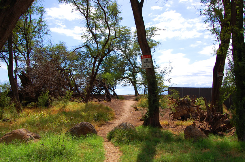 Beach Path