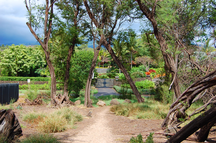 View to Makena Road
