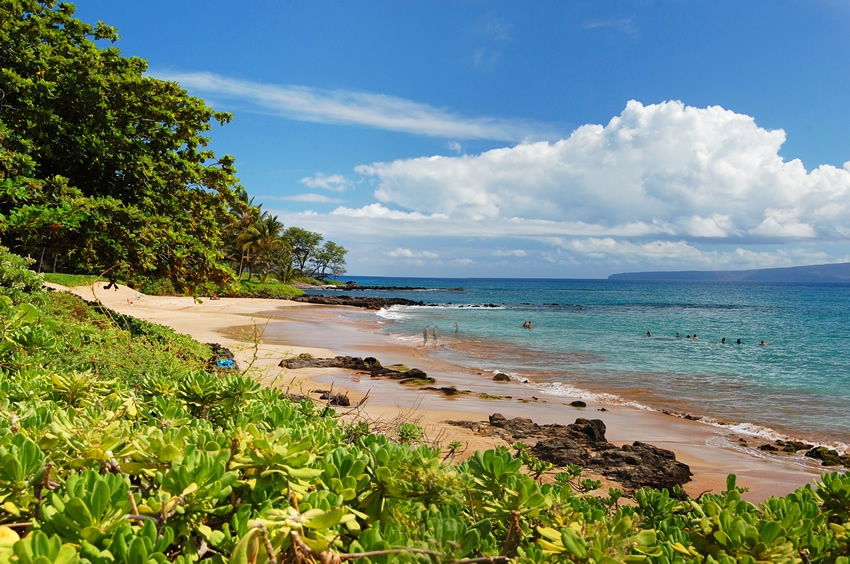 Tropical Scenery