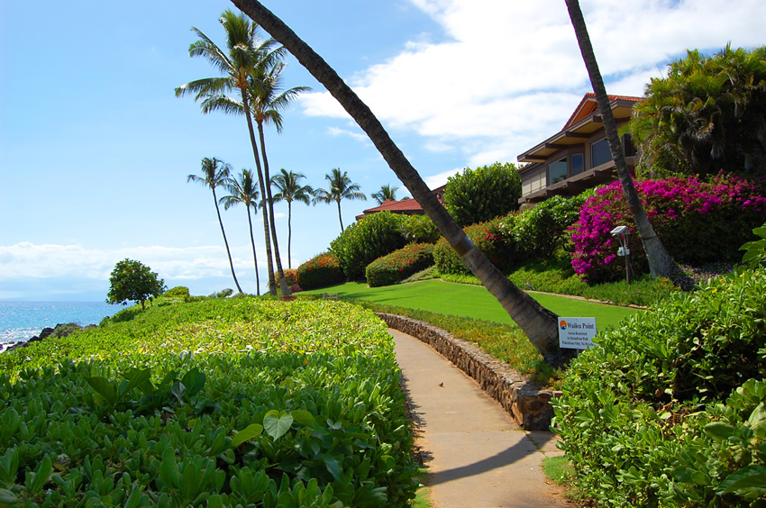 Wailea Beach Path 2