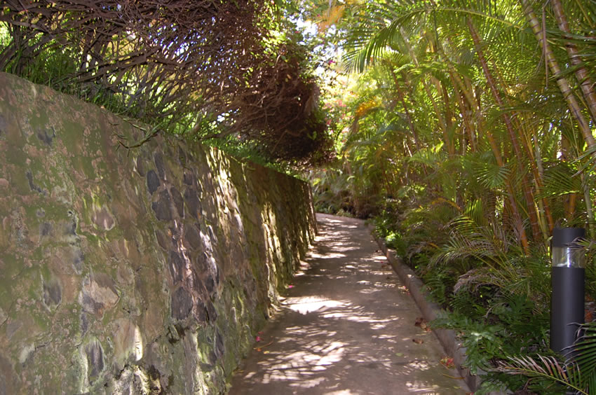 Beach Access Path