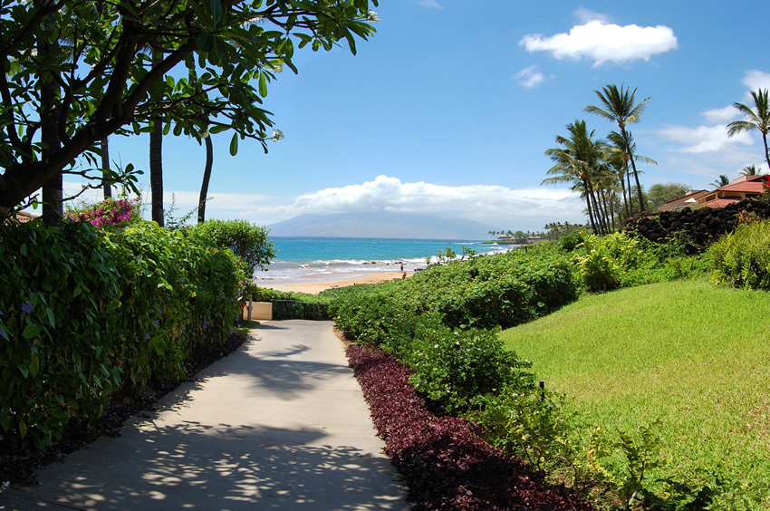 Beach Access Path 2