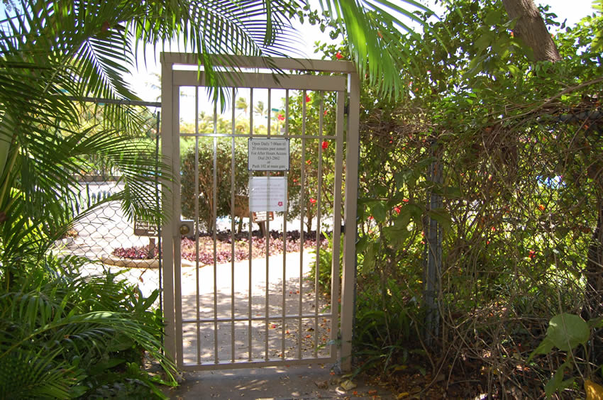 Second Beach Access Near Makena Surf