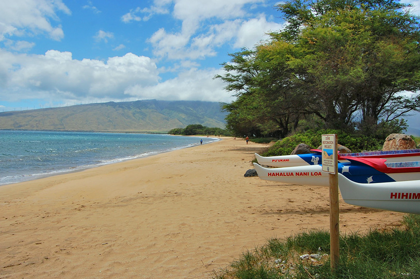 Long Sandy Beach