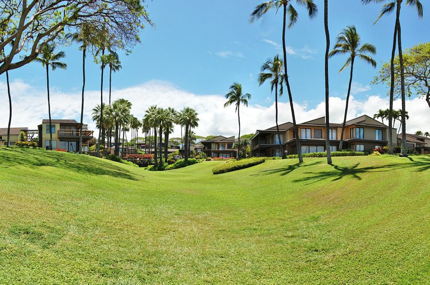 Backed by Luxurious Vacation Homes
