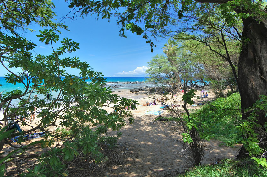 Shardy Area Near Mokapu Beach