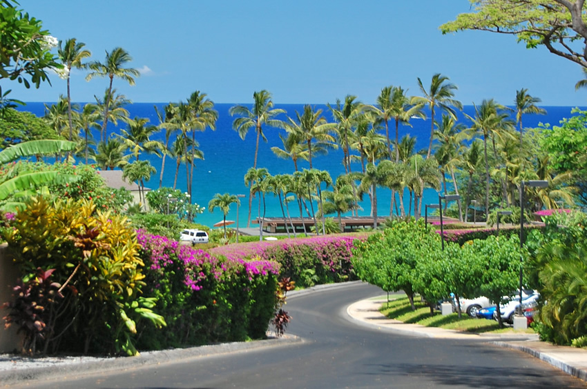 Ulua Road
