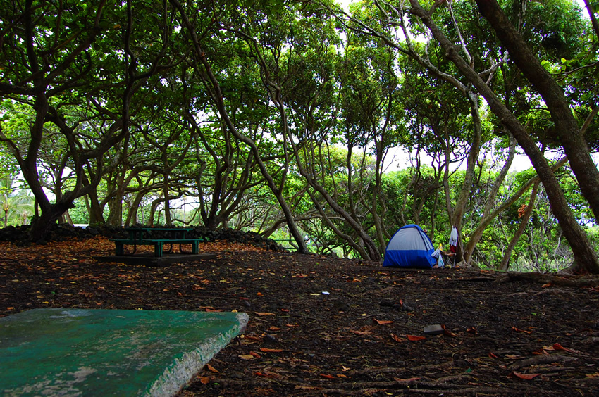 Maui Camping