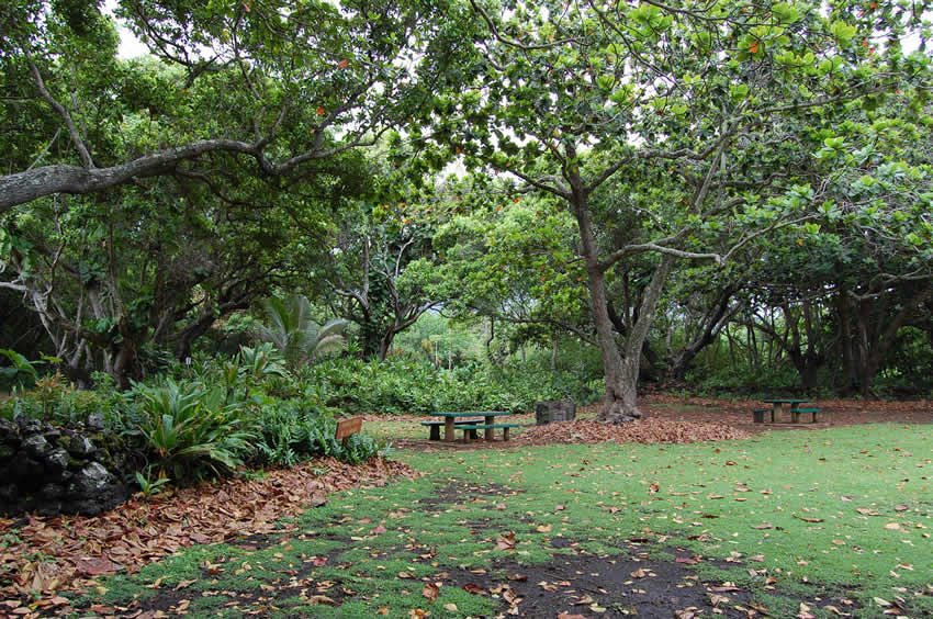 Park Area
