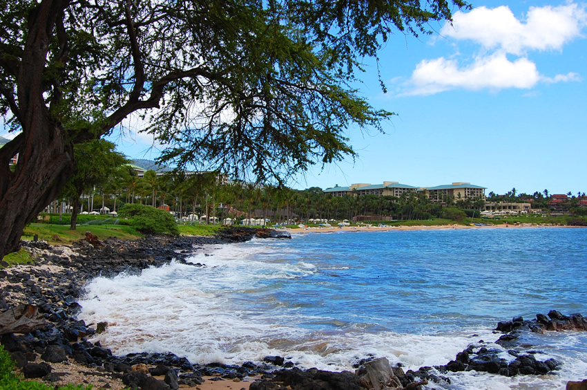 Black Lava Rocks