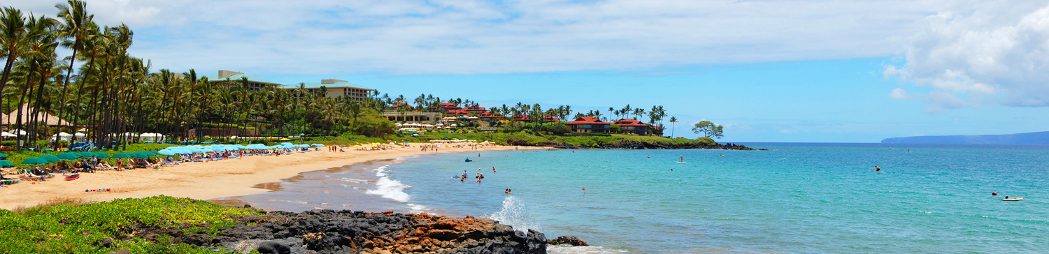 Wailea Beach P2
