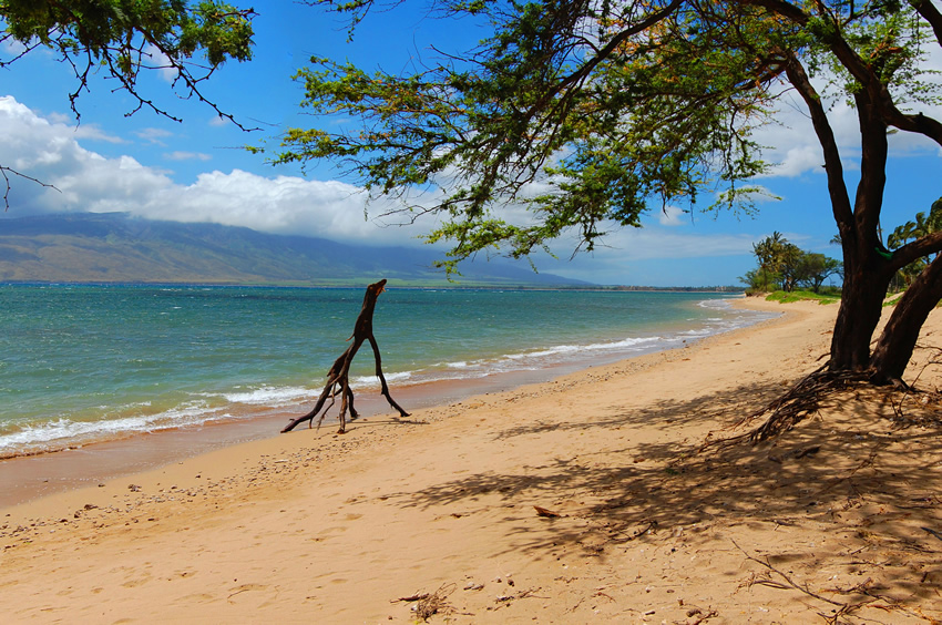 Waipulani Beach in Kihei