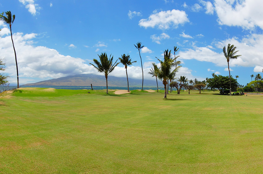 Waipulani Park