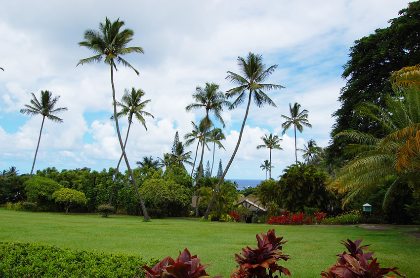Hotel Hana Grounds