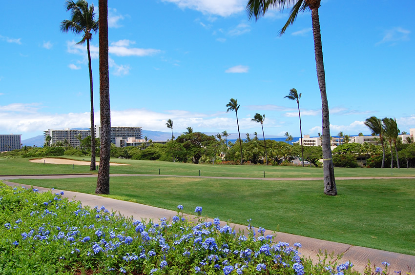 Green Kaanapali