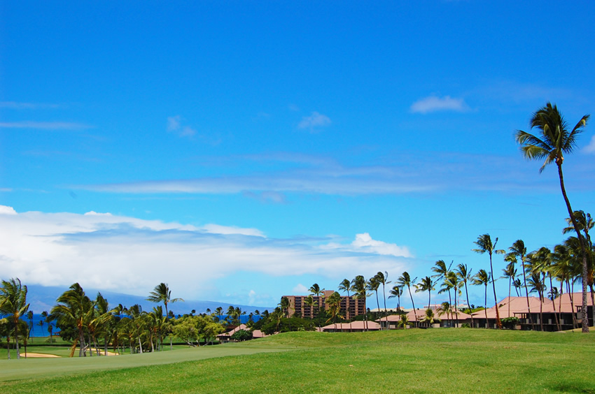 Tropical Town