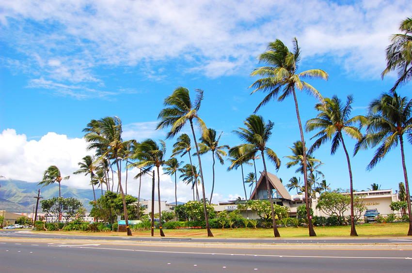 Maui Beach Hotel