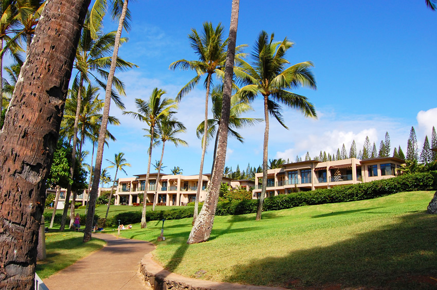 Beachfront Homes