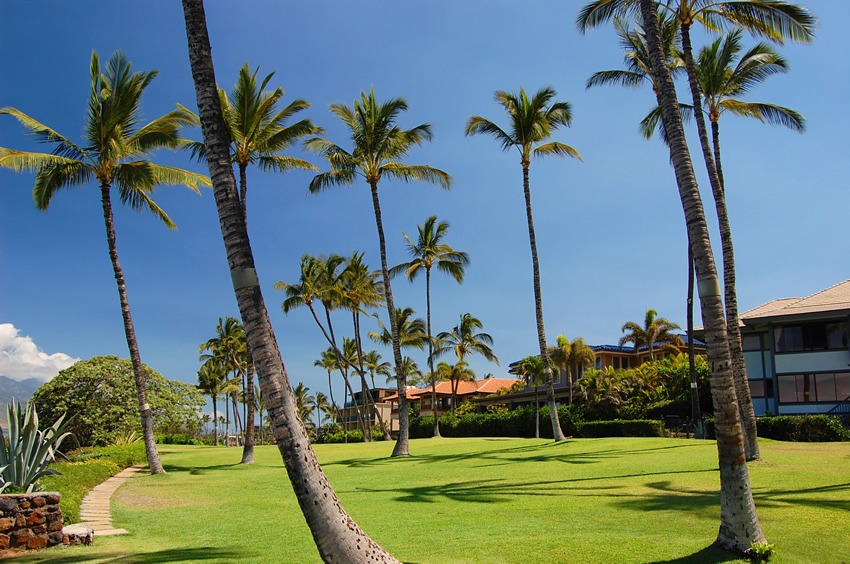 Kihei Homes