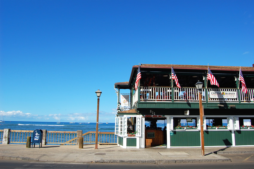 Cheeseburger in Paradise Restaurant