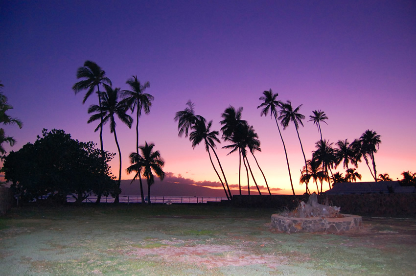 Purple Sunset