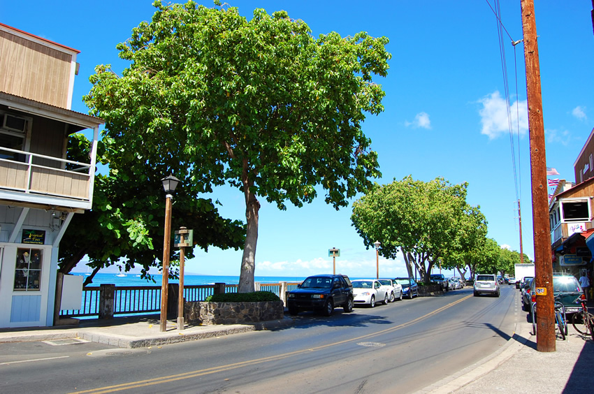 Walking on Front Street
