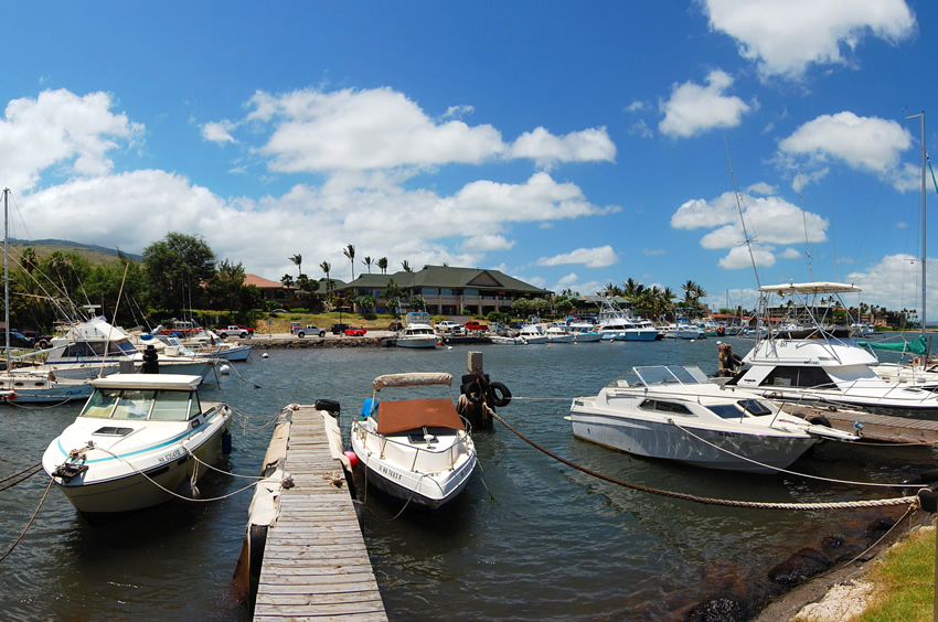 Harbor View