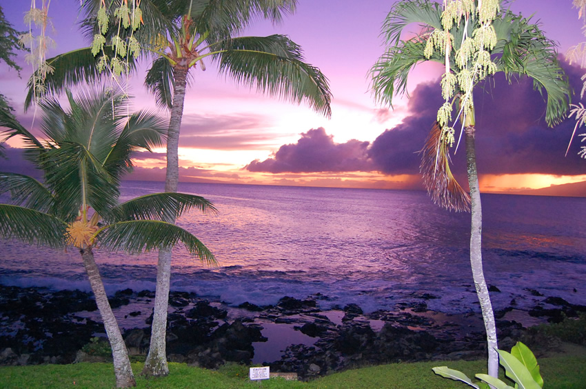 Amazing Sunset