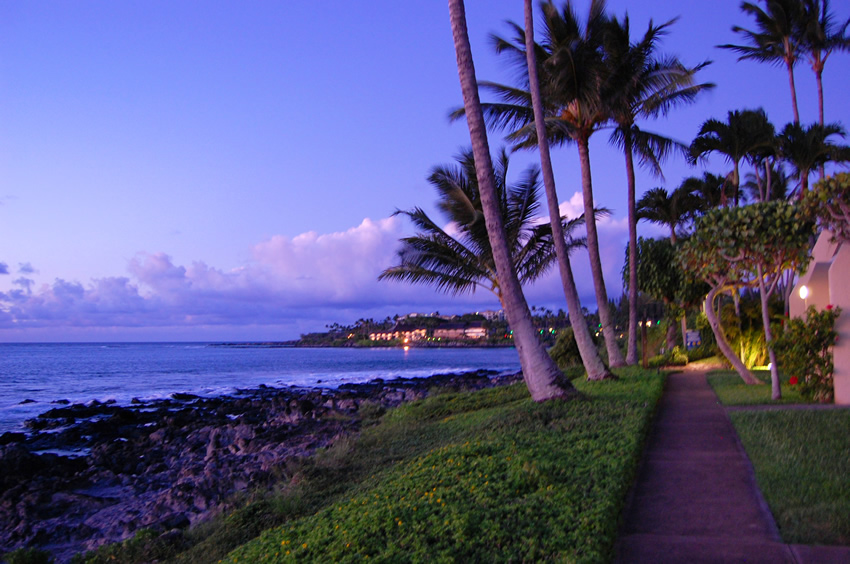 Beachfront Walk