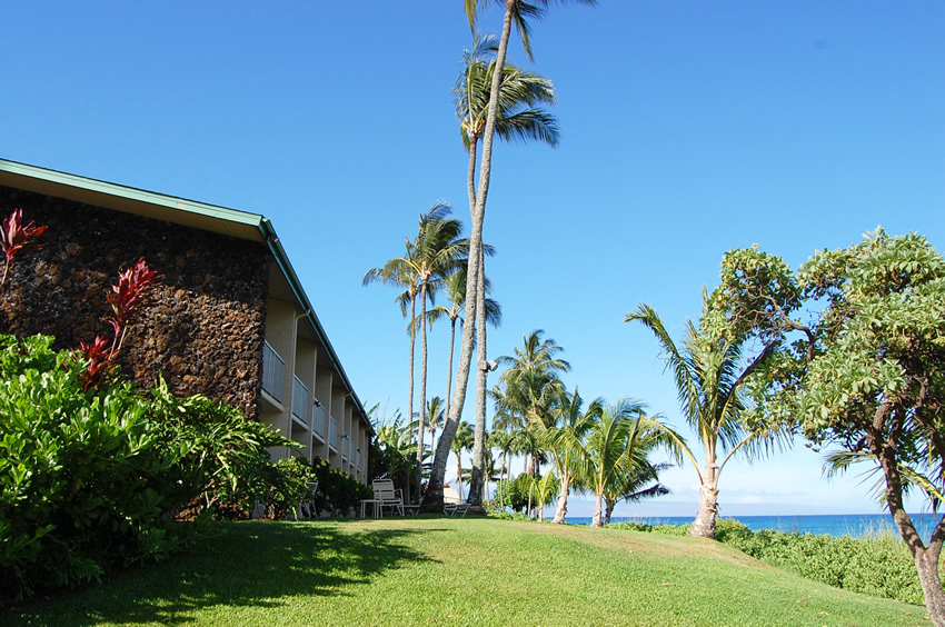 Condos Near the Beach