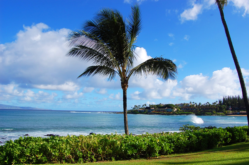Napili Bay