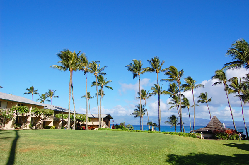 Napili Shores