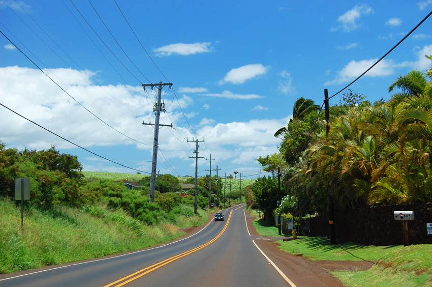 Road Near Paia