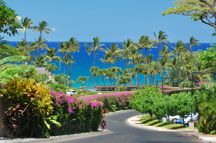 Scenic Wailea Road