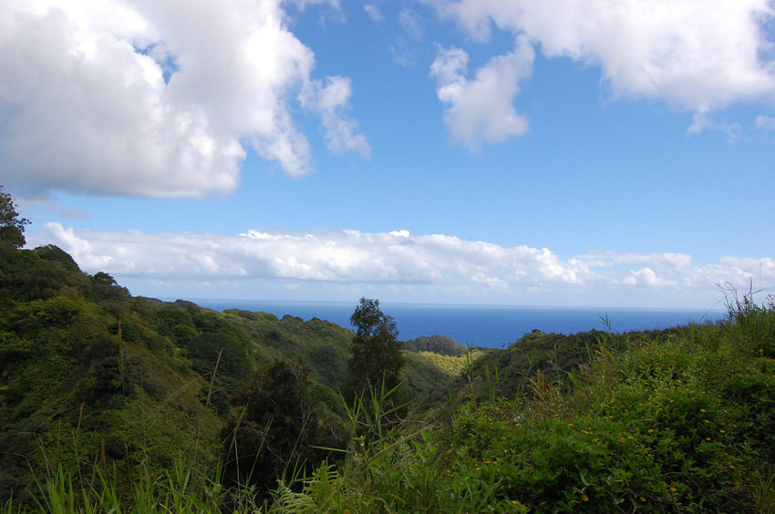 Scenic View