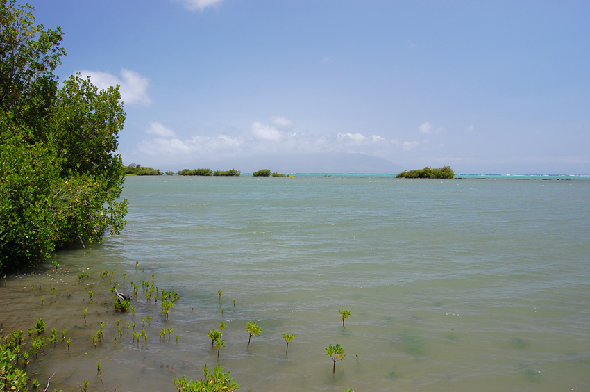 Niaupala Fishpond