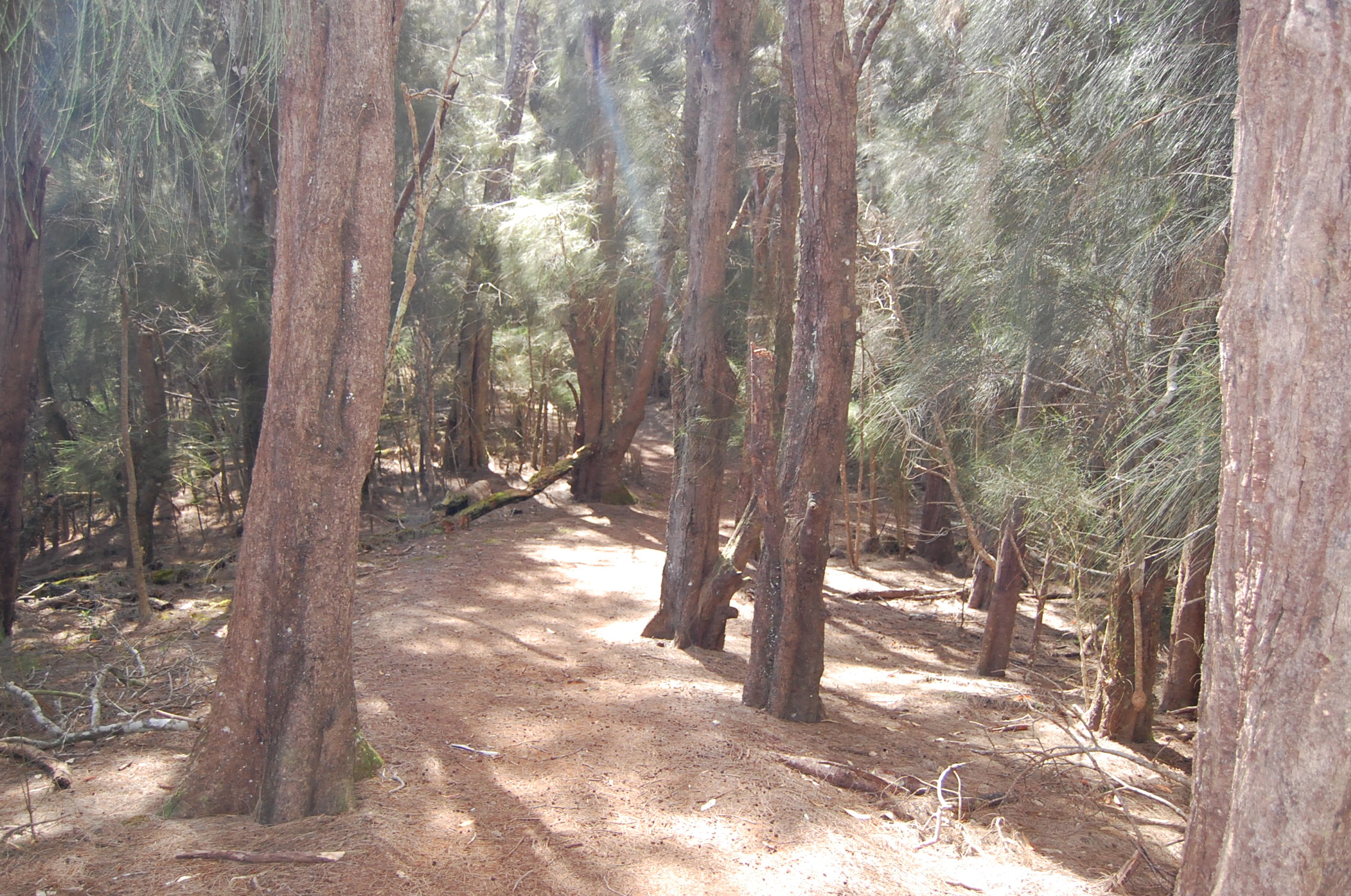 Peaceful Surroundings