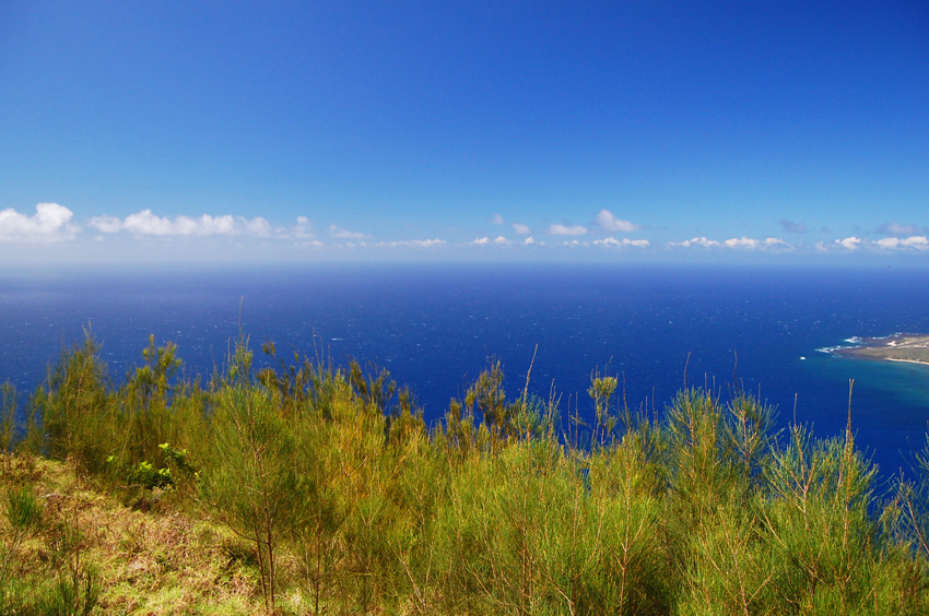 Beautiful View from the Lookout