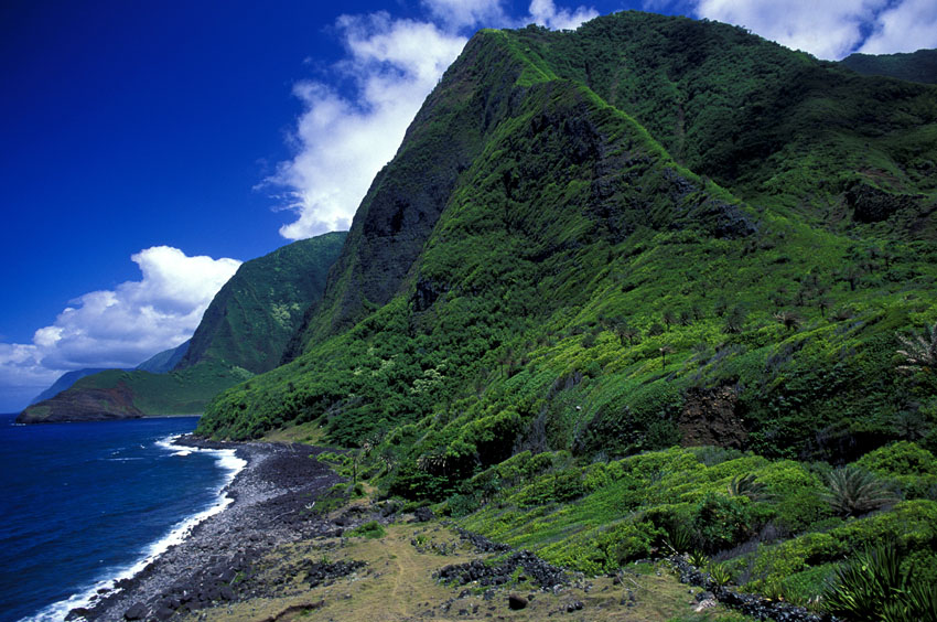 Looking East Along the North Shore of the Kalaupapa Peninsula