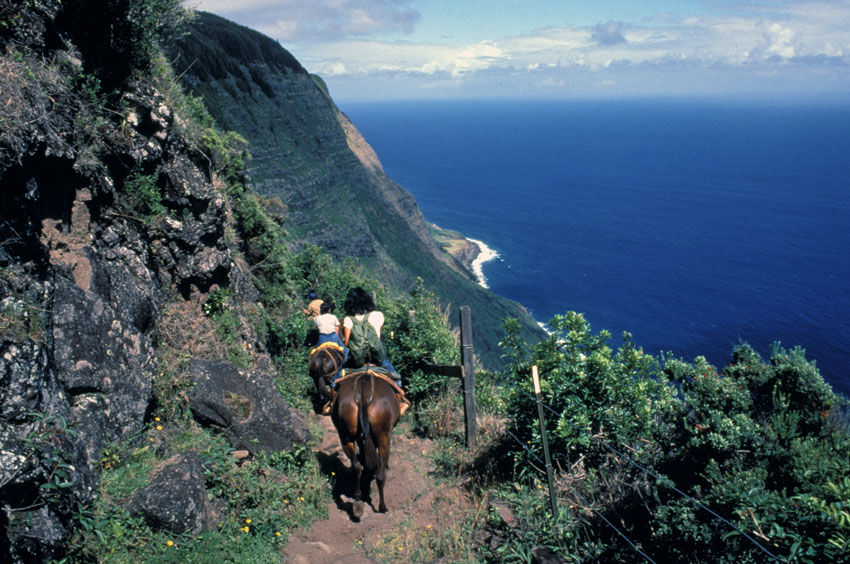 Mule Riding Down the Switchback Trail Kalaupapa
