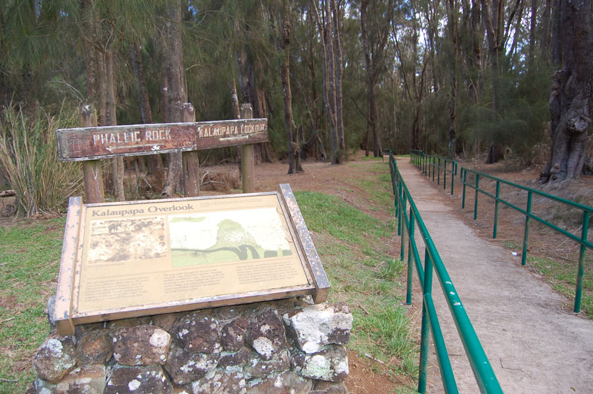 Short Trail to the Lookout