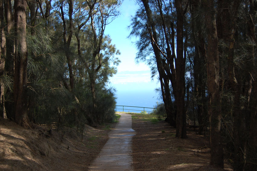 Short Trail to the Lookout 2