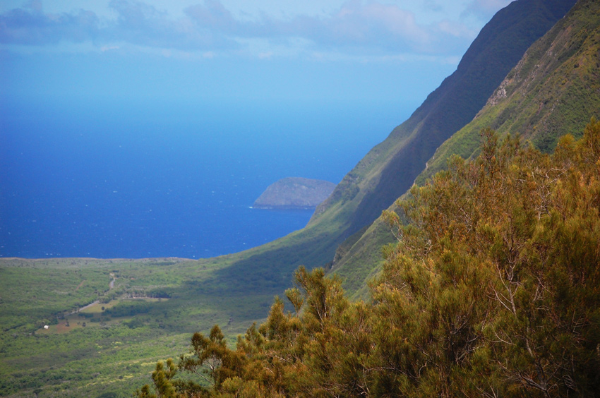 Steep Molokai Sea Cliffs 2