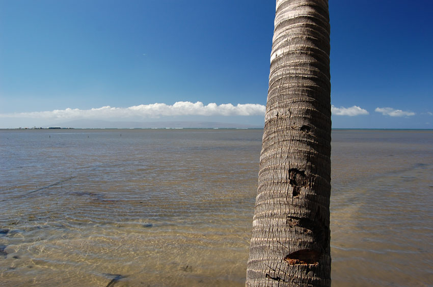 Flat Shoreline Water