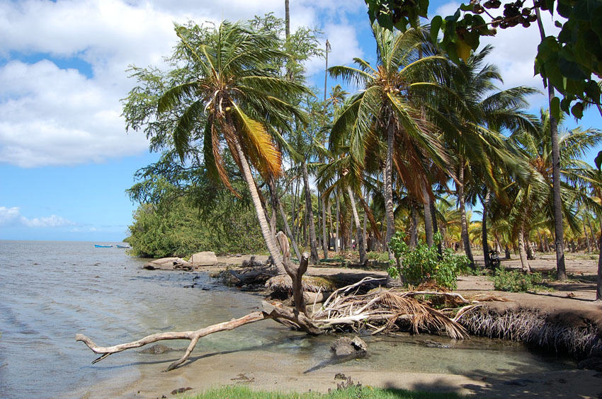 Scenic Shoreline4