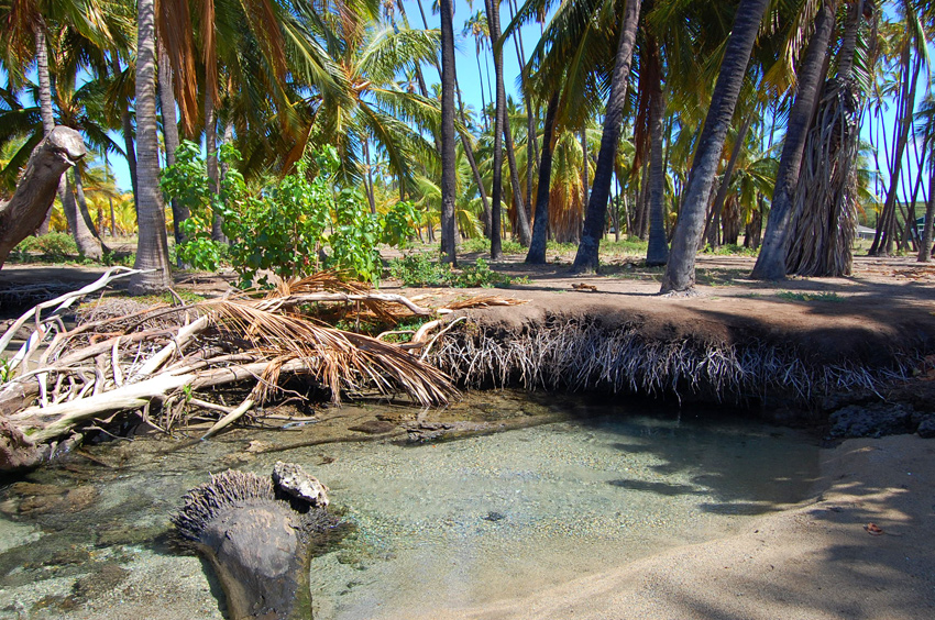 Small Scenic Pond