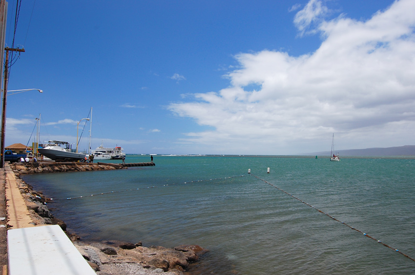 Swim Area