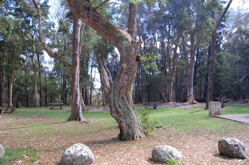 Picnic Park 1