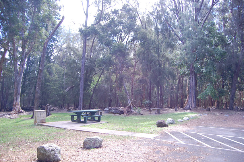 Picnic Park 2