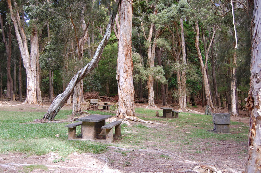 Picnic Tables